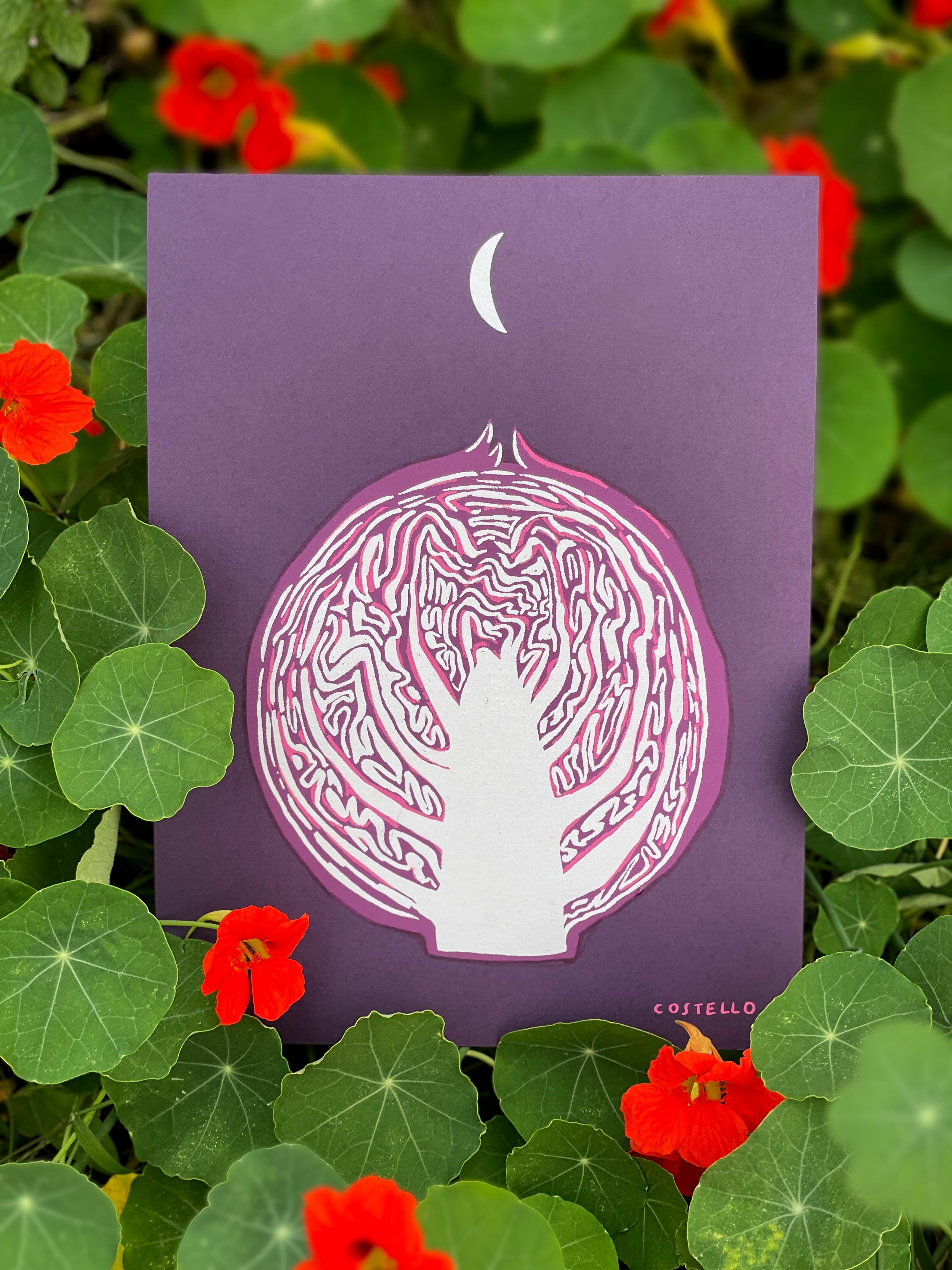 Cabbage Moon Print